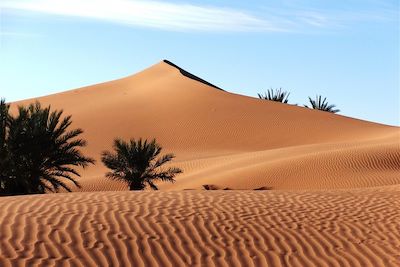 Dunes de la vallée du Drâa - Maroc