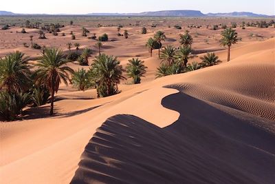 Dunes de la vallée du Drâa - Maroc