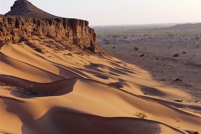 Dunes de la vallée du Drâa - Maroc