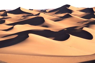 Dunes de la vallée du Drâa - Maroc