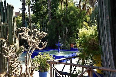 Jardin Majorelle - Marrakech - Maroc