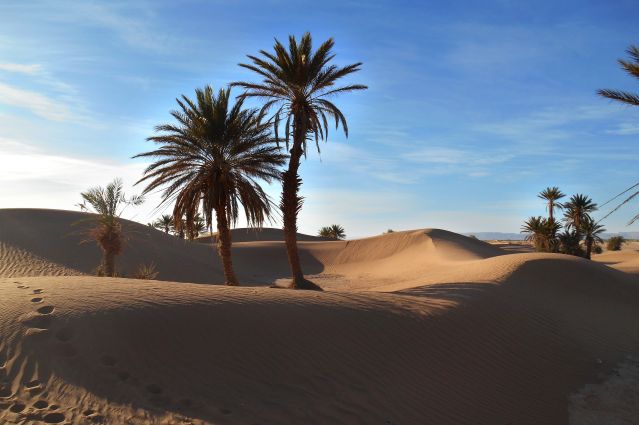 Image Dunes de Tazzarine et casbah du Drâa