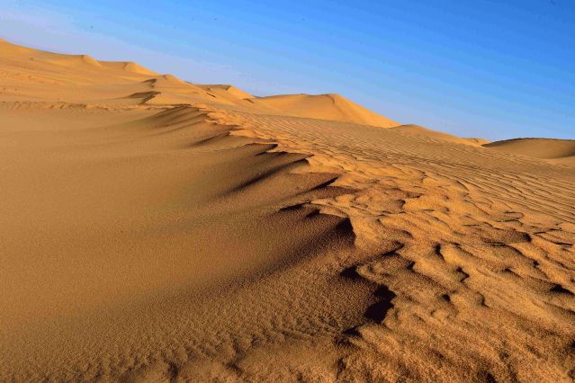Voyage à pied : Dunes de Tazzarine et casbah du Drâa