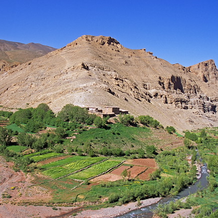 Randonnée avec mulet Maroc Atlas