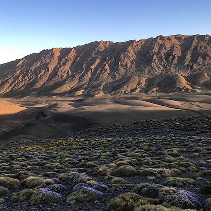 Randonnée avec mulet Maroc Atlas