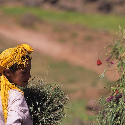 Randonnée Maroc Atlas