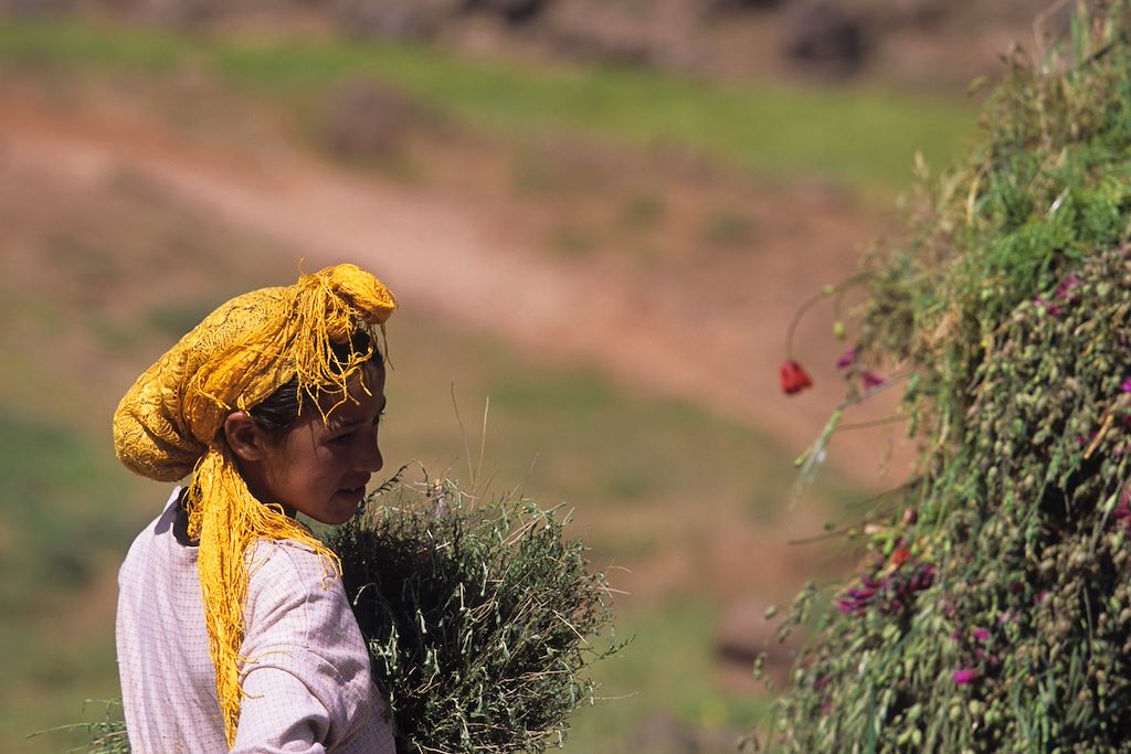 Image Kasbah Du Toubkal - Découvrir La Culture Berbère - Randonner Au Maroc