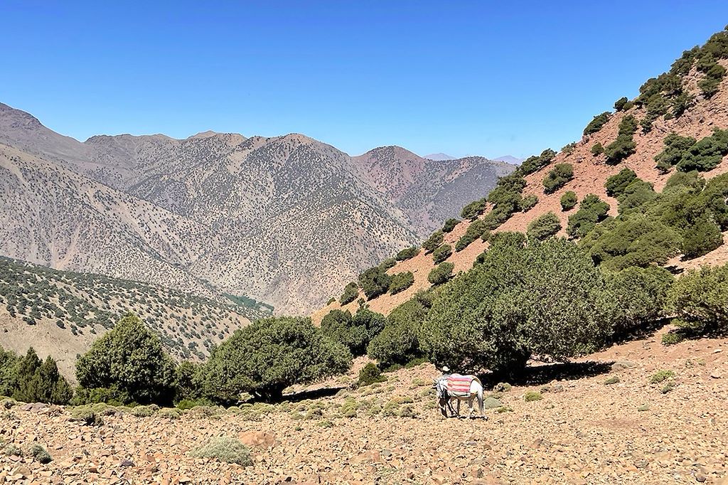 Image Kasbah Du Toubkal - Découvrir La Culture Berbère - Randonner Au Maroc