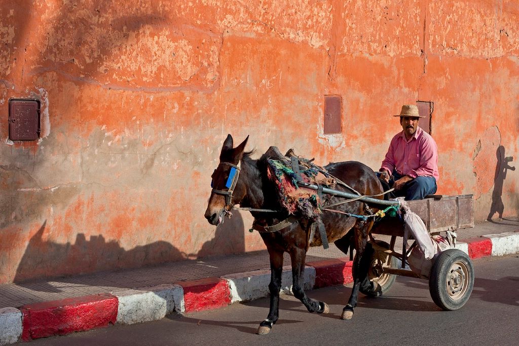 Image Voyage été Maroc - Maroc en famille - Randonnée Atlas - Vallées d'Imlil