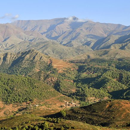 Randonnée avec mulet Maroc Atlas