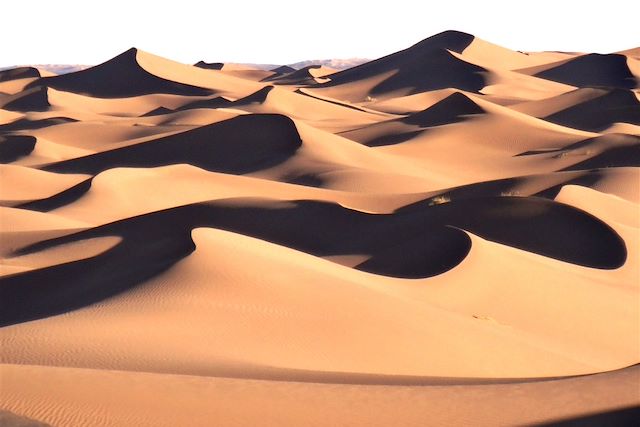 Mhamid : Dunes de sable, palmeraies et Marrakech Voyage Dunes de sable, palmeraies et Marrakech