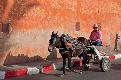 © Angsana Riad Si Said - Marrakech - Maroc Marrakech - Maroc