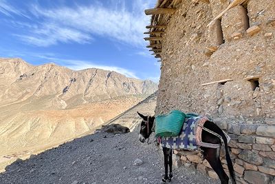 © Laurie Arnaud - Grenier fortifié de Sidi Moussa - Vallée des Ait Bougmez - Maroc Grenier fortifié de Sidi Moussa - Vallée des Ait Bougmez - Maroc