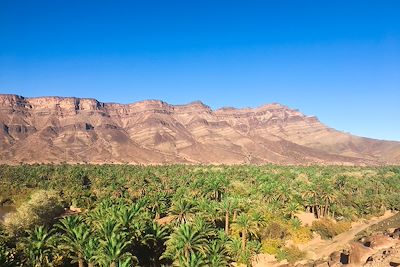 © Maëi Boucard - Palmeraie - Timidarte - Vallée du Draa - Maroc Palmeraie - Timidarte - Vallée du Draa - Maroc