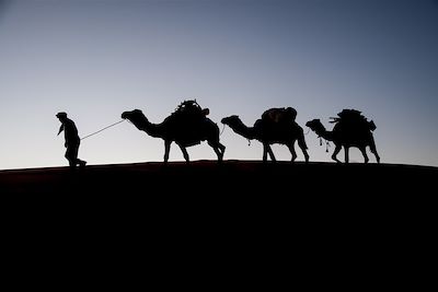 © Arnaud Bernard - Caravane dans le désert marocain Caravane dans le désert marocain