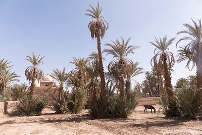 © Brice Portolano - M'Hamid El Ghizlane - Zagora - Maroc M'Hamid El Ghizlane - Zagora - Maroc