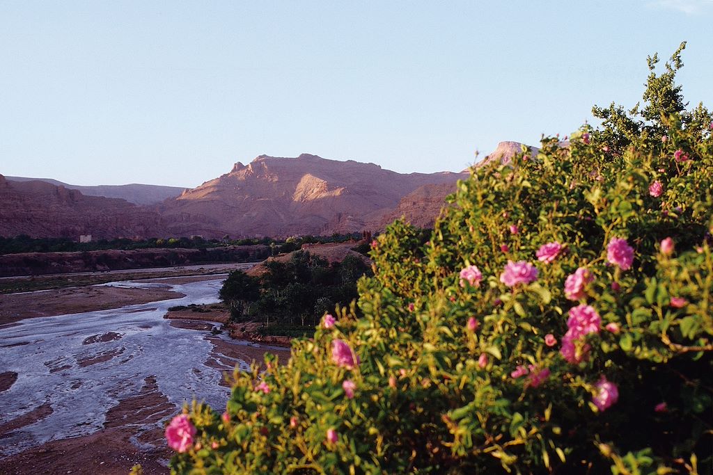 Image Randonnée Muletière - Oued M'Goun - Gorges De L'Oued El Qati - voyage vallée des roses