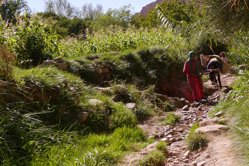 Image Randonnée Muletière - Oued M'Goun - Gorges De L'Oued El Qati - voyage vallée des roses