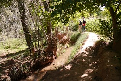 © Stéfane Buvot - Dans la vallée M'Goun - Versant sud-est du Haut Atlas - Maroc Dans la vallée M'Goun - Versant sud-est du Haut Atlas - Maroc