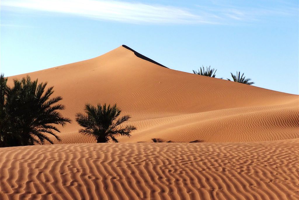 Image Trek Sahara - Randonnée Chamelière Maroc - Voyage Désert - bivouac maroc