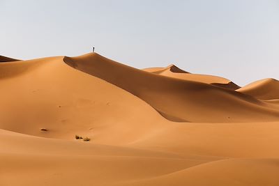 © Brice Portolano - l'Erg Chegaga - Sahara - Maroc l'Erg Chegaga - Sahara - Maroc