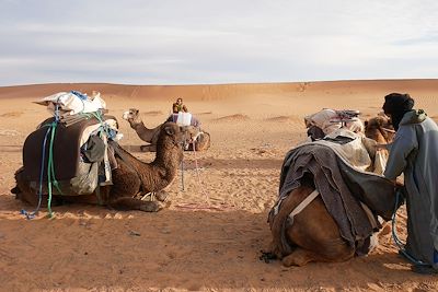 © Camille Robert - Equipe chamelière - Désert du Maroc Equipe chamelière - Désert du Maroc