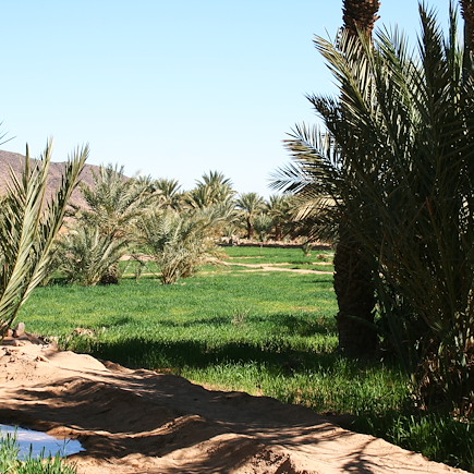 Randonnée Maroc Sahara
