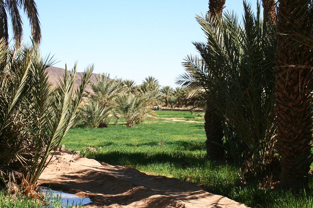 Image campement désert - Randonnée Vallée Du Draa - trek sahara - Agdz