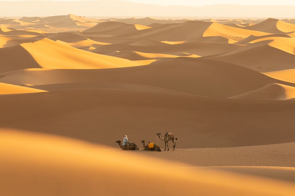 Image Randonnée Chamelière Au Maroc - Bivouac Dans Les Dunes - Immersion Dans Le Désert