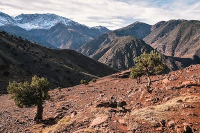 Tizi Oussem - Haut-Atlas - Maroc