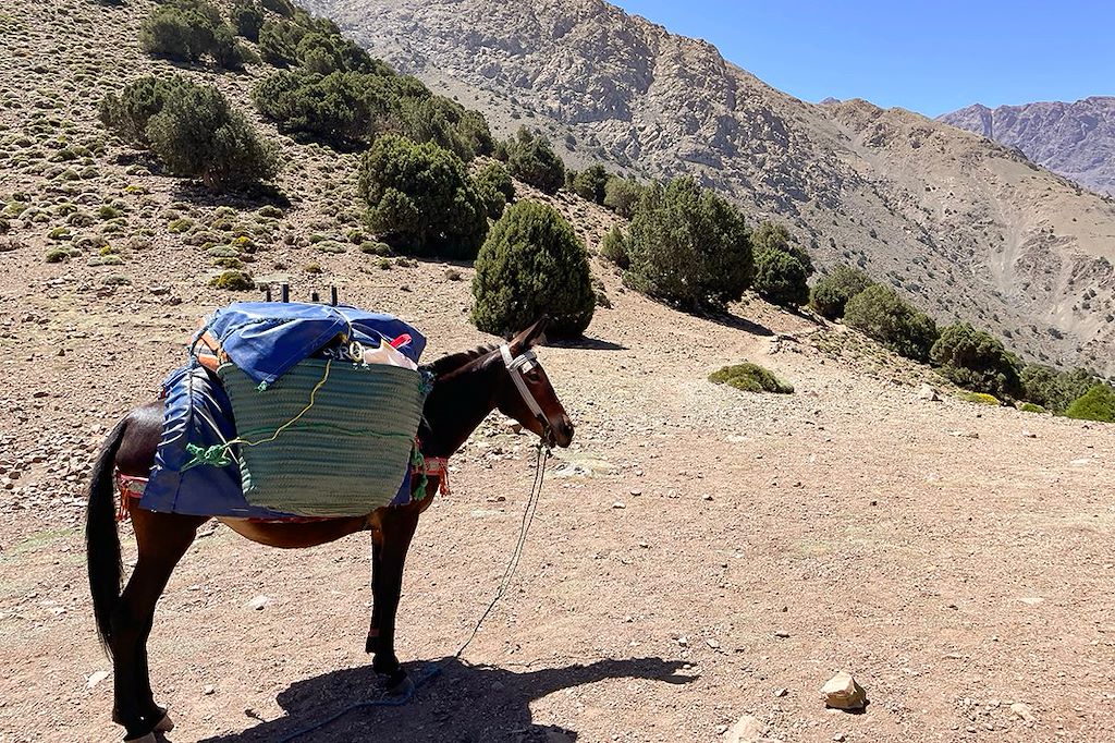 Image Voyage au Maroc - Trek dans le Haut Atlas marocain - Imlil - Marrakech