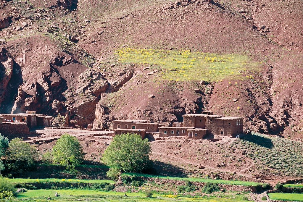 Image Voyage Maroc - Randonnée Atlas - Haut Atlas - Tessaout