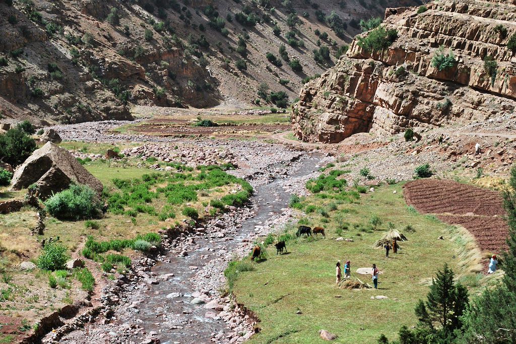 Image Voyage Maroc - Randonnée Atlas - Haut Atlas - Tessaout