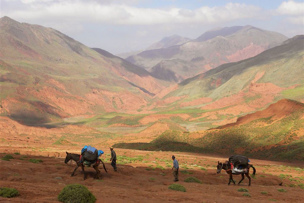 Image Voyage Maroc - Randonnée Atlas - Haut Atlas - Tessaout