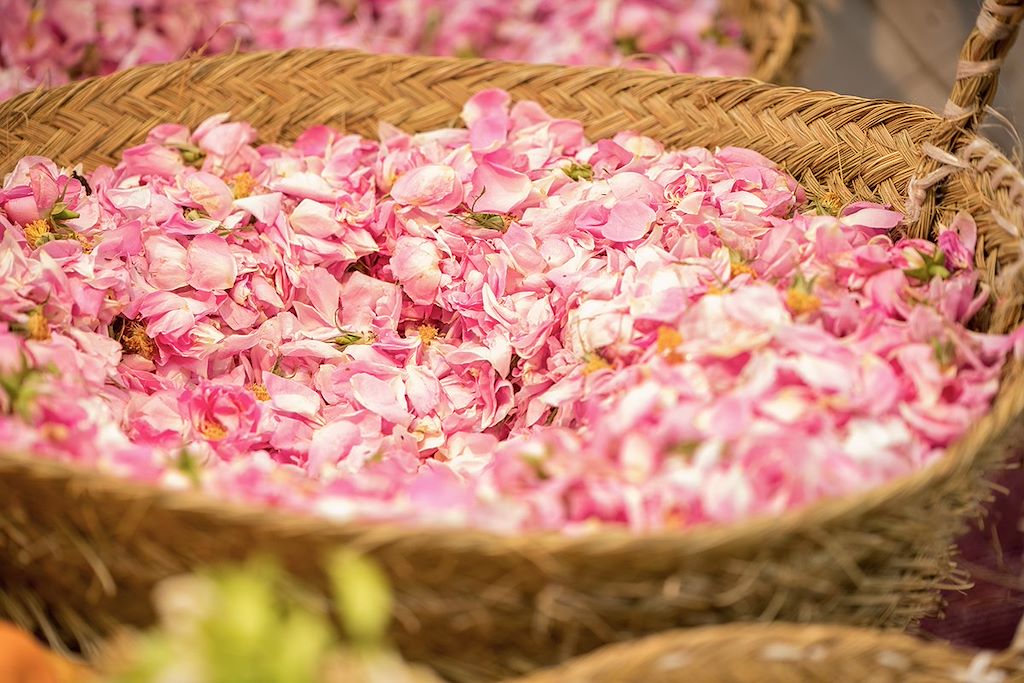 Image Vallée des Roses en VTT - Skoura à vélo - Découverte de la palmeraie de Skoura