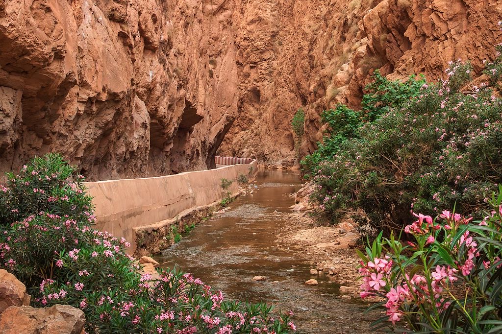 Image Vallée des Roses en VTT - Skoura à vélo - Découverte de la palmeraie de Skoura