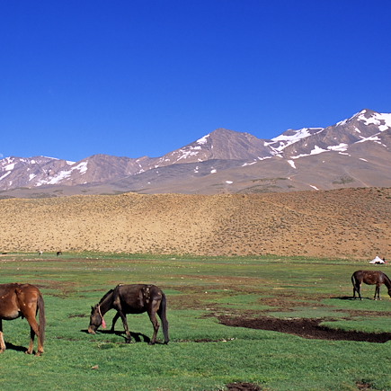 Trek Maroc Atlas