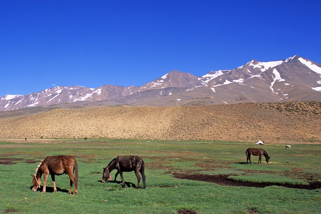 Image Trek Maroc - Ascension Toubkal – Ascension M'Goun – Randonnée Atlas