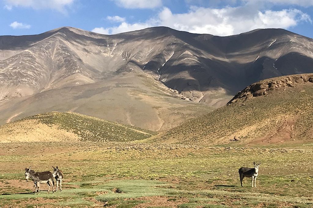 Image Trek Maroc - Ascension Toubkal – Ascension M'Goun – Randonnée Atlas
