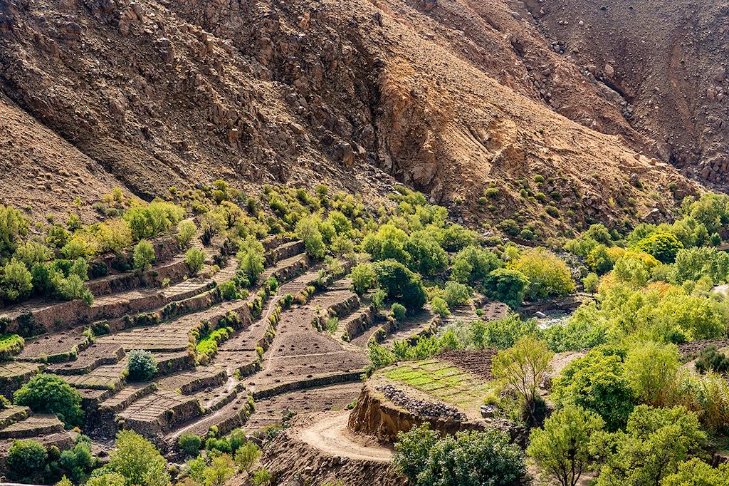 Image Trek Maroc - Ascension Toubkal – Ascension M'Goun – Randonnée Atlas