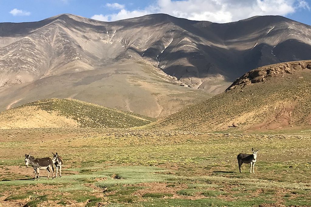 Image Trek maroc - Ascension M'Goun – Randonnée Atlas – Ait Bouguemez