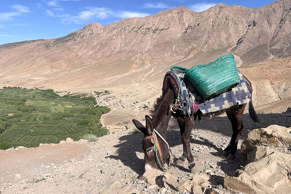 Image Voyage Maroc - Trek atlas - Ascension M'Goun