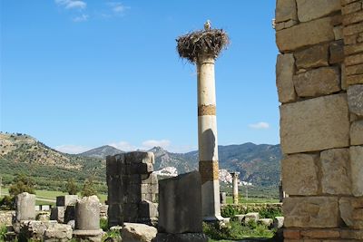 Le site antique de Volubilis - Maroc