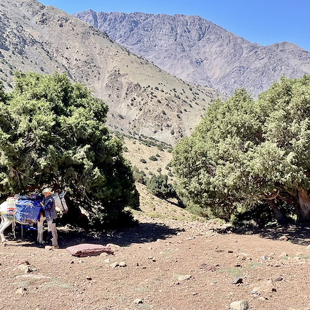 Randonnée Maroc Atlas