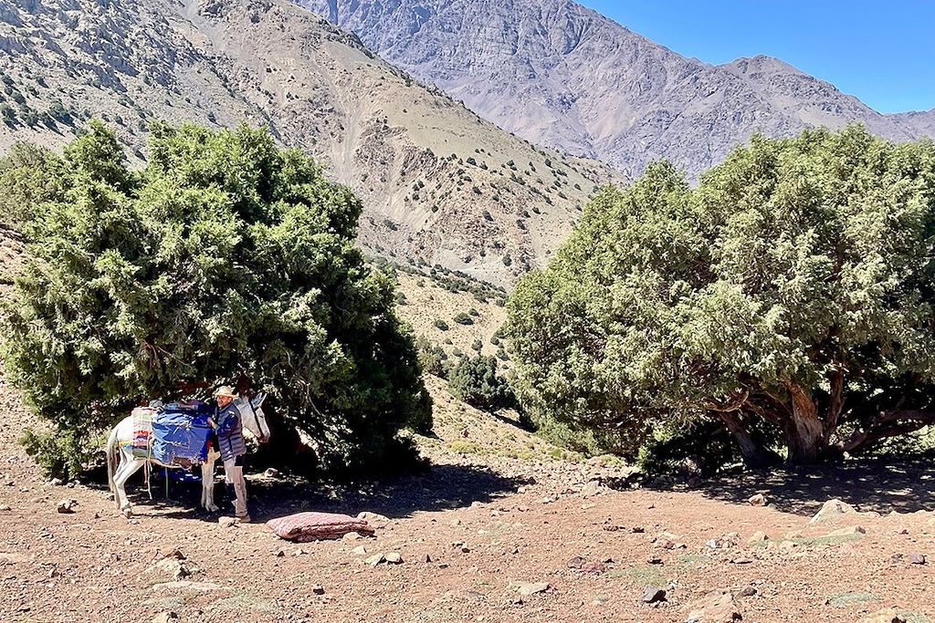 Image randonnée vallée du Toubkal - voyage famille maroc - côte atlantique Maroc