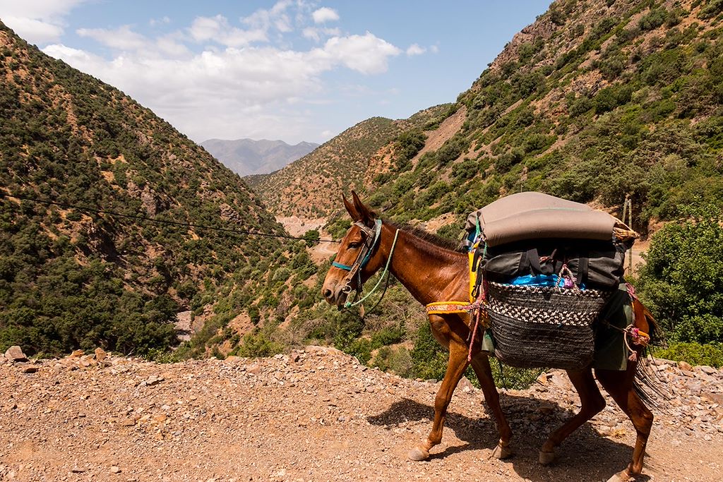 Image Voyage au Maroc avec un âne - Trek avec âne dans le Haut Atlas marocain - Imlil - Marrakech