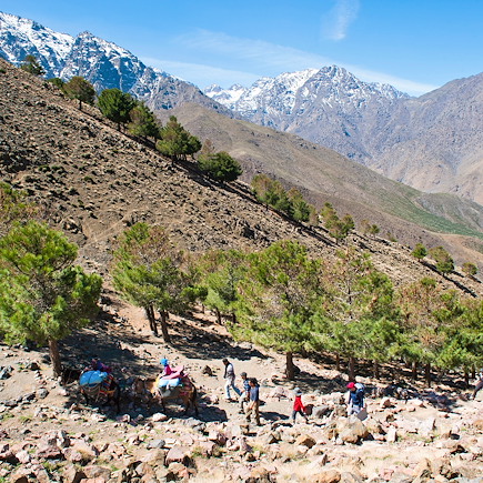 Randonnée Maroc Atlas