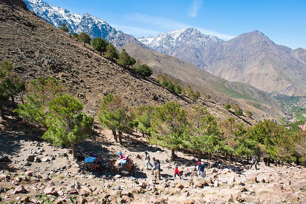 Image Voyage au Maroc avec un âne - Trek avec âne dans le Haut Atlas marocain - Imlil - Marrakech
