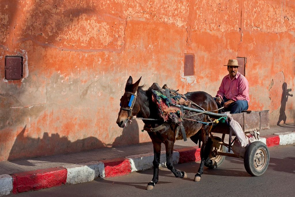 Image Randonnée atlas famille - Voyage Marrakech - Cascades d'Ouzoud - vallée heureuse