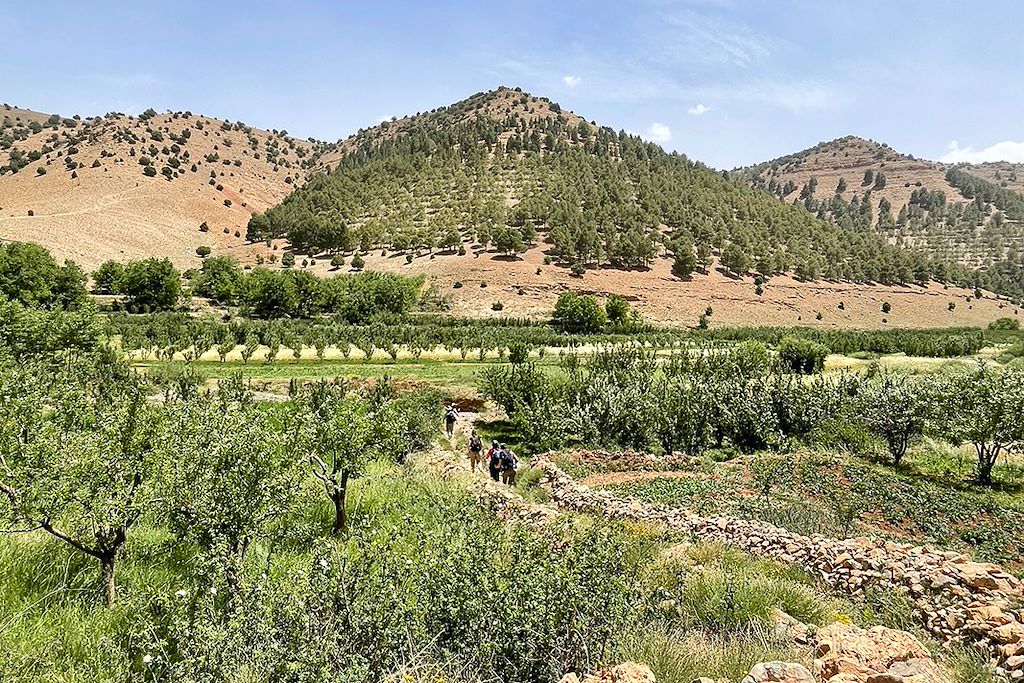 Image Randonnée atlas famille - Voyage Marrakech - Cascades d'Ouzoud - vallée heureuse